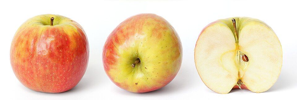 Apple Himachal (Seb)