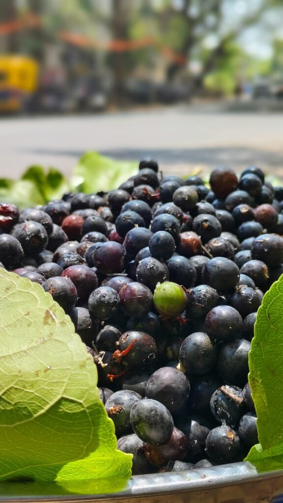 Jamun (Black Plum)