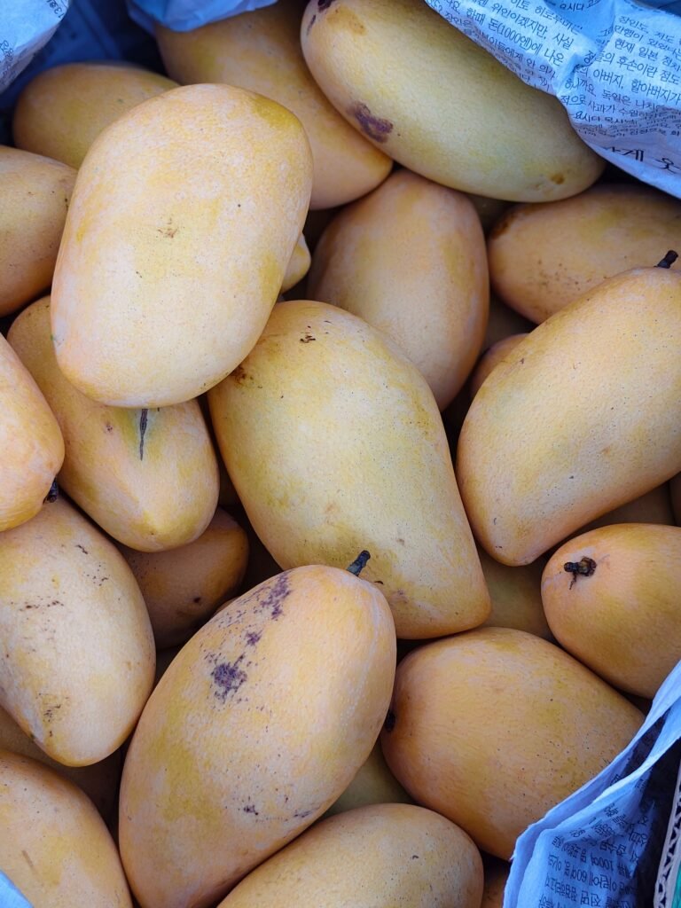 Mango Safeda (Banganapalli)