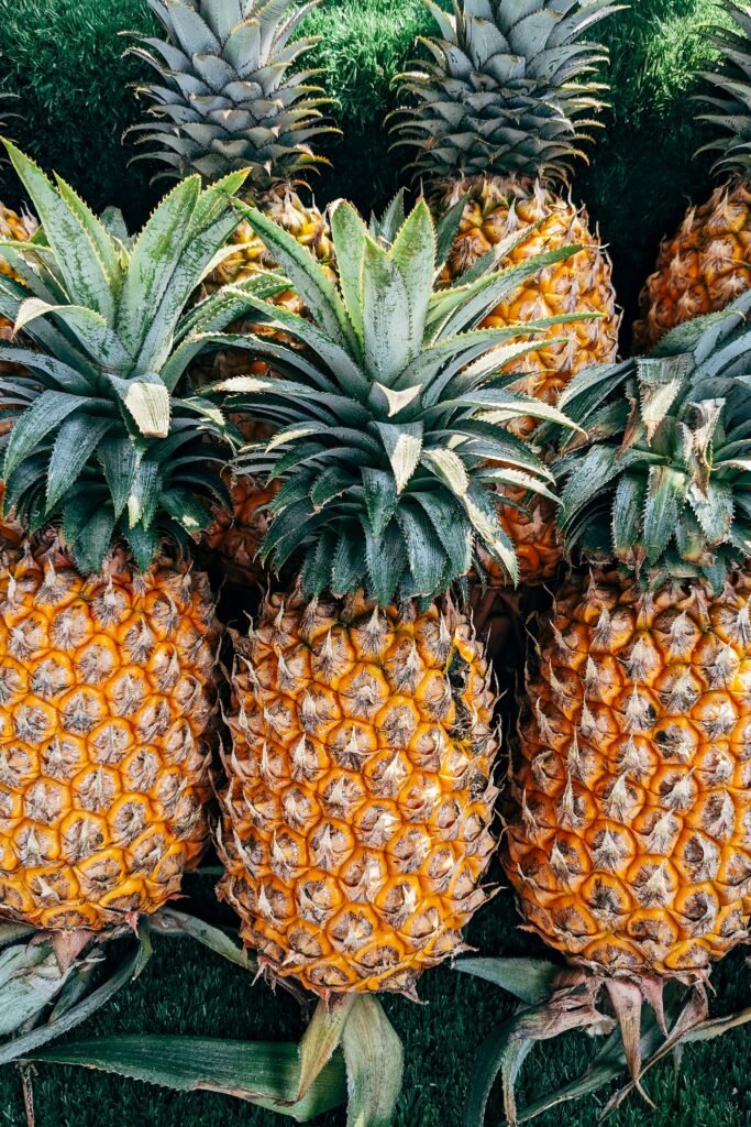 Pineapple (Ananas)