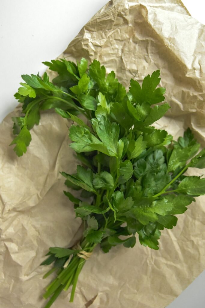Coriander (Dhaniya)