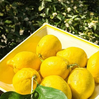 Lemon (Nimbu)