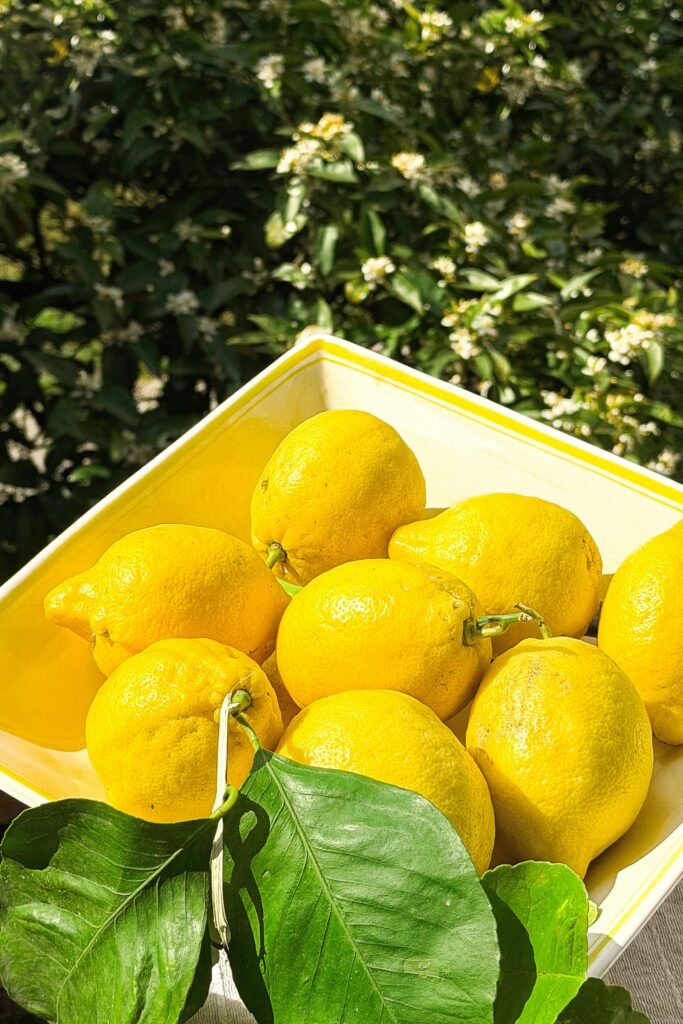 Lemon (Nimbu)