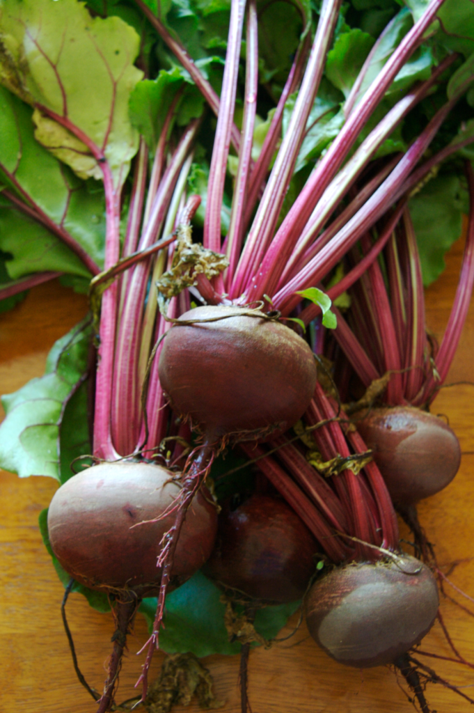 Beetroot (Chukandar)