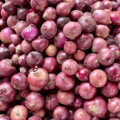 Onion (Pyaaz)