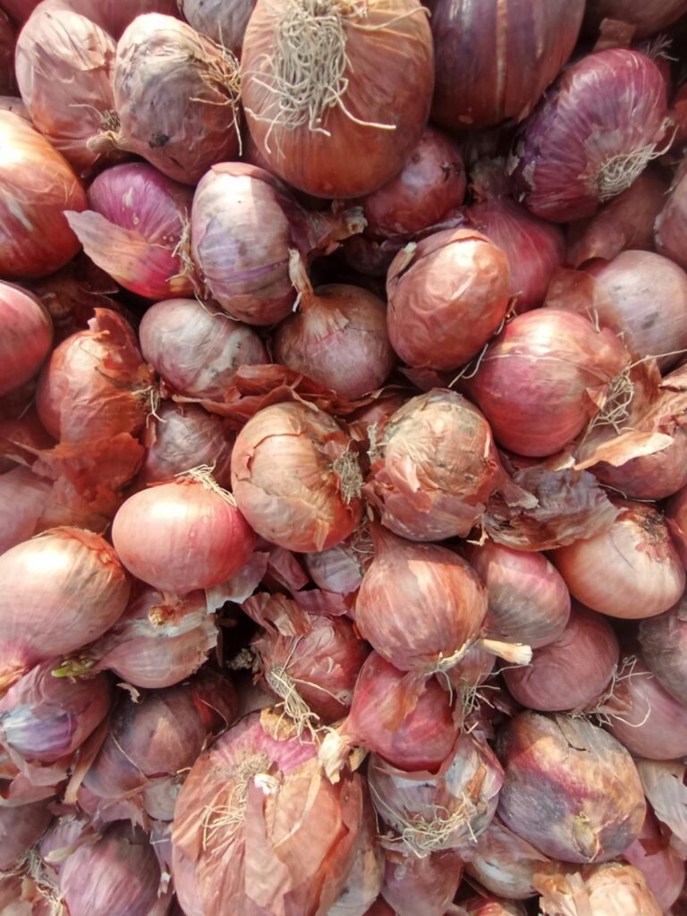 Onion Small (Chhota Pyaaz)