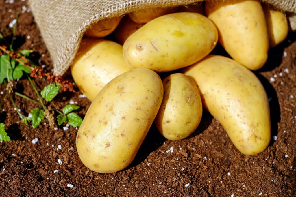 Potato (Aloo)