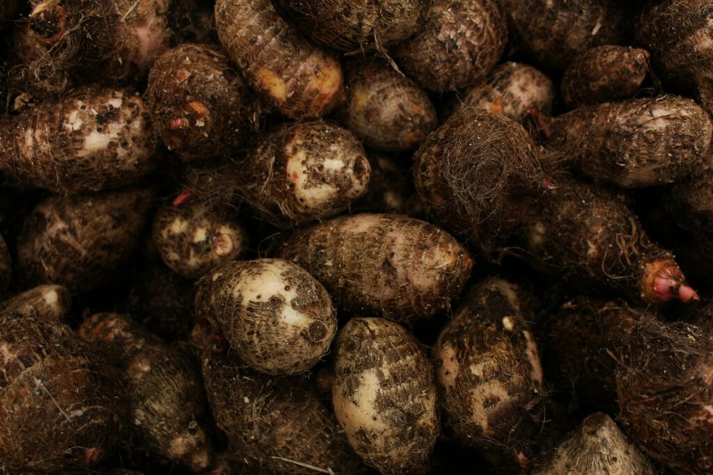 Arbi (Colocasia)