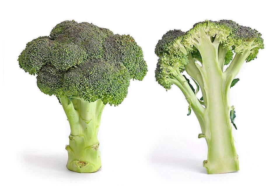Broccoli Fresh