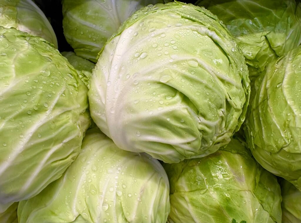 Cabbage (Patta Gobhi)