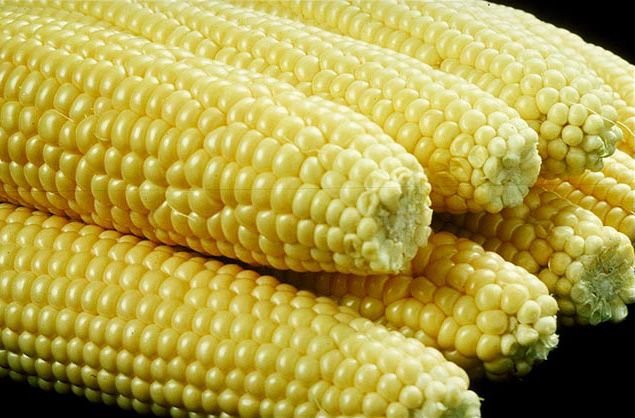 Corn (Bhutta)