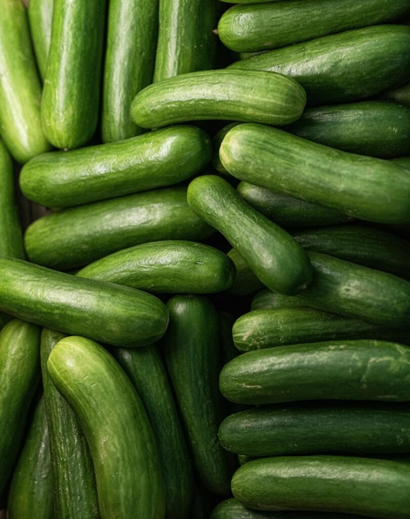 Cucumber Chinese (Kheera)