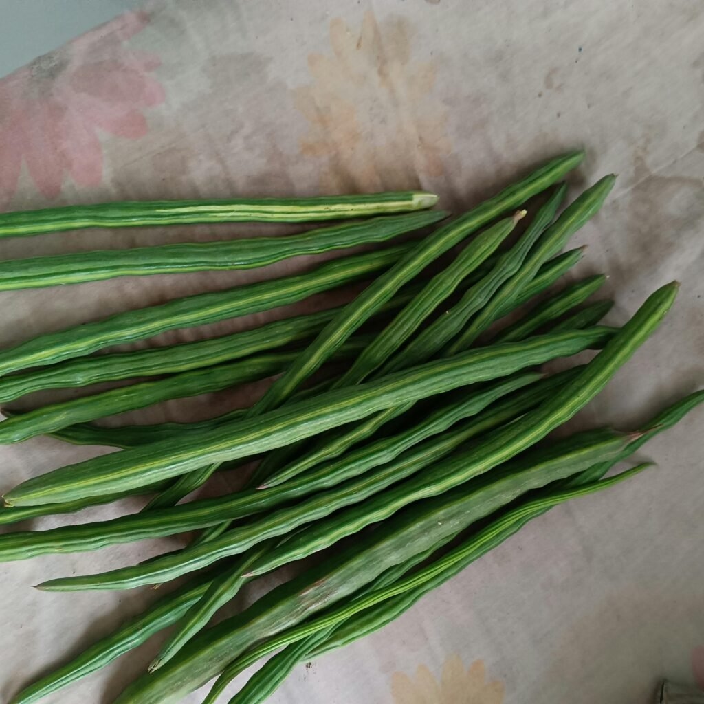 Drumstick (Sahjan/Moringa)