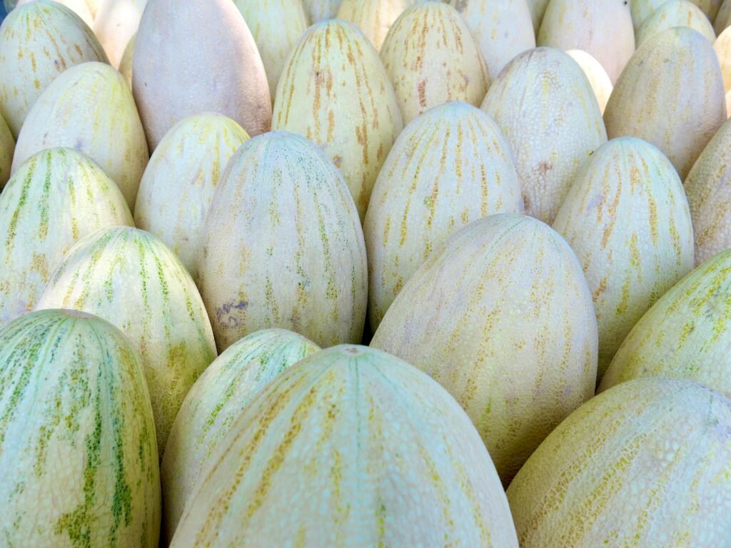 Kachri (Wild Melon)