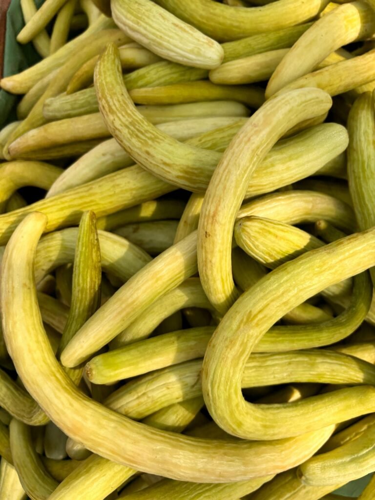 Kakdi (Desi Cucumber)