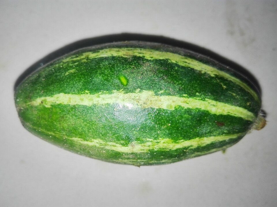 Parwal (Pointed Gourd)