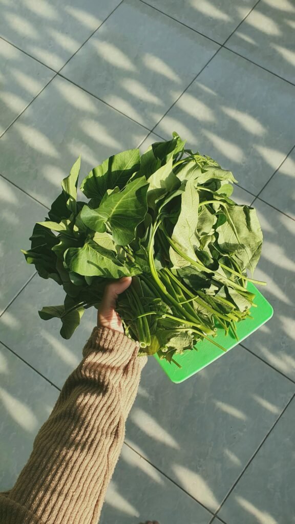 Spinach (Palak)