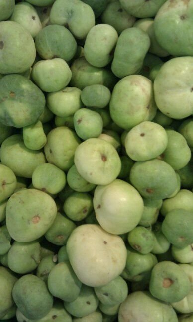 Tinda (Apple Gourd)